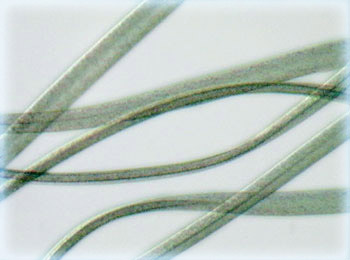 Orlon Acrylic Fibers