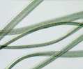 Orlon Acrylic Fibers