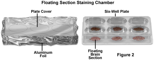 Floating Section Staining Chamber Configuration