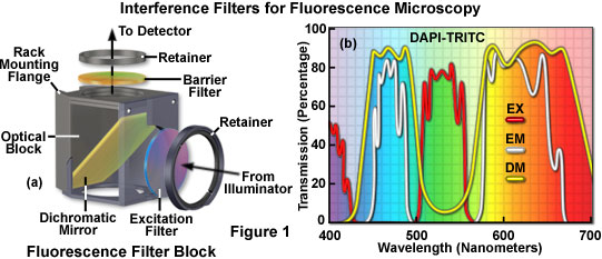 Interference Filters