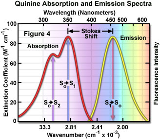 Excitation spectrum for J1/J2 = 3 (solid points from series) along the